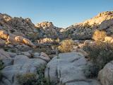 Joshua Tree 007